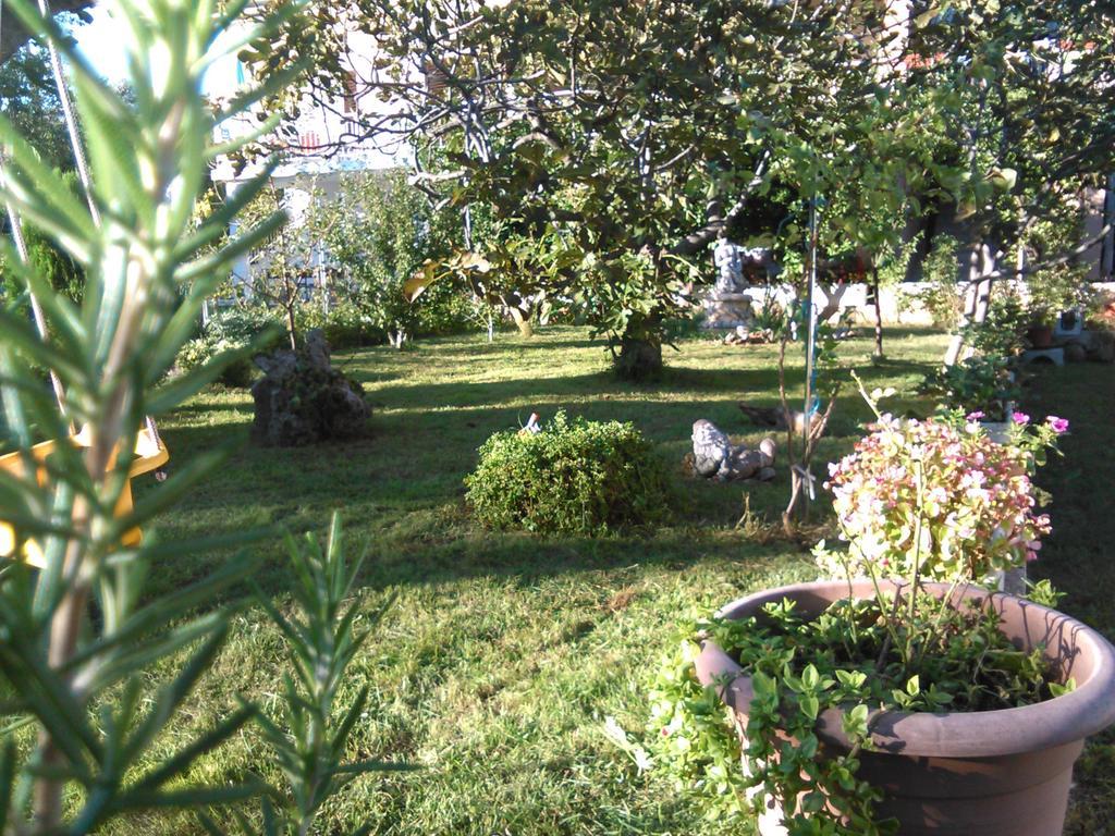 Apartments Lana Starigrad Paklenica Buitenkant foto
