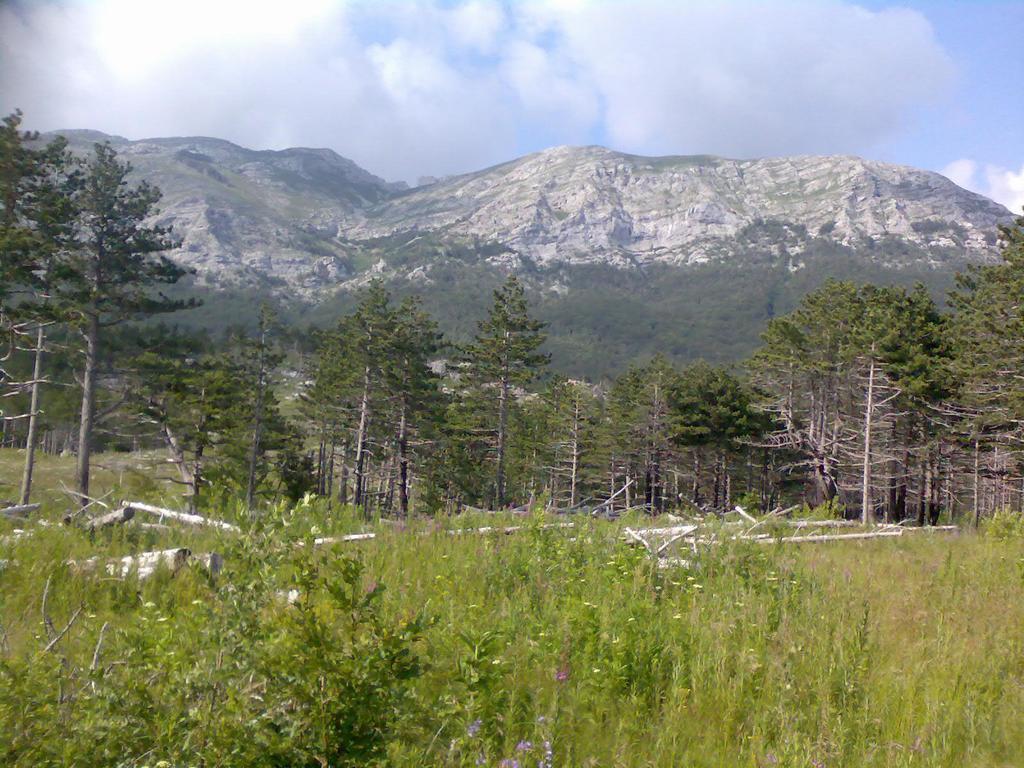 Apartments Lana Starigrad Paklenica Buitenkant foto