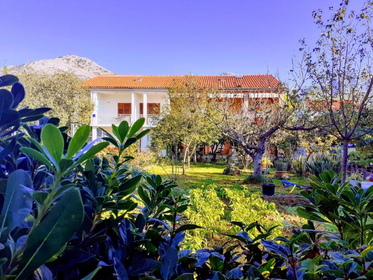 Apartments Lana Starigrad Paklenica Buitenkant foto